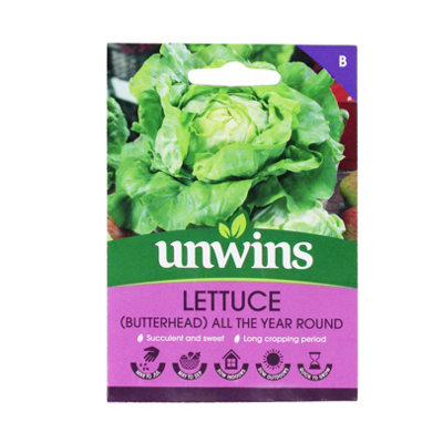 Unwins Vegetable Seeds Lettuce All Year Round  Seeds from B&Q