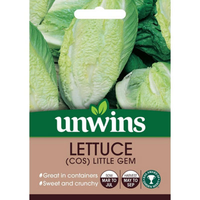 Unwins Vegetable Seeds Lettuce Little Gem  Seeds from B&Q