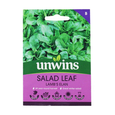 Unwins Unwin Vegetable Seeds  Lettuce Lambs Elan  Seeds from B&Q