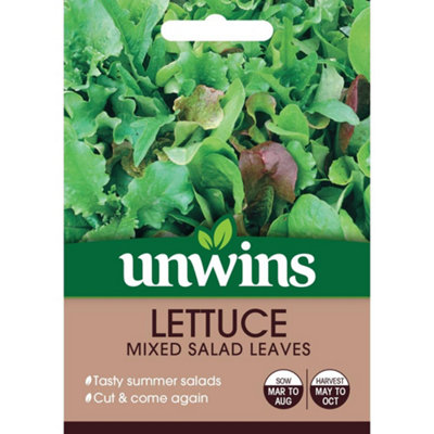 Unwins Vegetable Seeds Lettuce Mixed Salad Leaves Seeds from B&Q