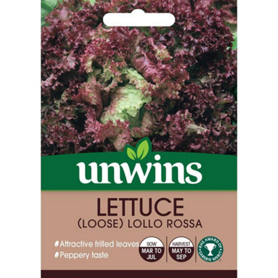 Unwins Vegetable Seeds Lettuce Lollo Rossa  Seeds from B&Q
