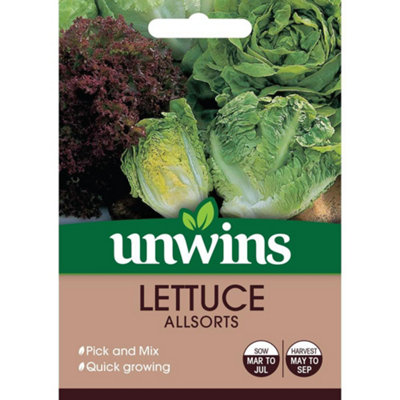 Unwins Vegetable Seeds Lettuce Allsorts Seeds from B&Q