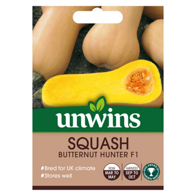 Unwins Squash Butternut Hunter F Easy To Grow Seeds from B&Q