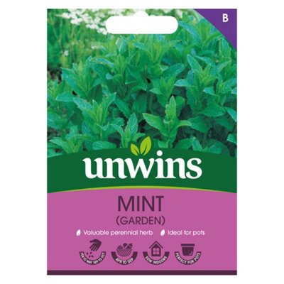 B&Q -  Herb Mint Garden Easy To Grow Seeds