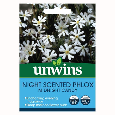 Unwins Flower SeedsNight Scented Phlox Midnight Cand from B&Q