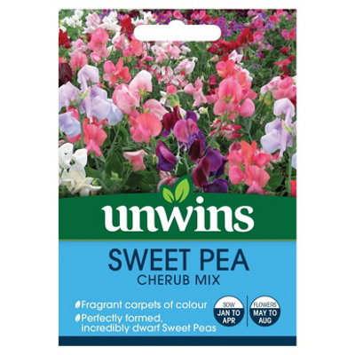 Unwins Flower SeedsSweet Pea Cherub Mix from B&Q