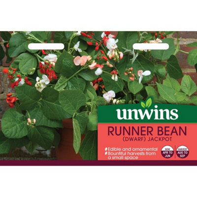 Unwins Vegetable Seeds Runner Bean Jackpot from B&Q