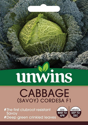 Unwins Vegetable Seeds Cabbage Savoy Cordesa F1 Seeds from B&Q