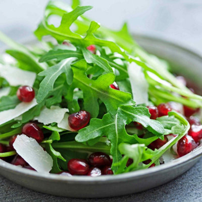 Marshalls Garden Rocket Seeds Athena750 Seeds For Peppery Salad Leaves from B&Q