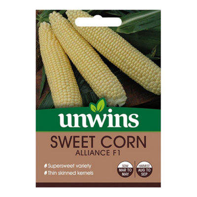 Mr Fothergills Unwins Vegetable Seeds Sweet Corn Alliance F1 from B&Q