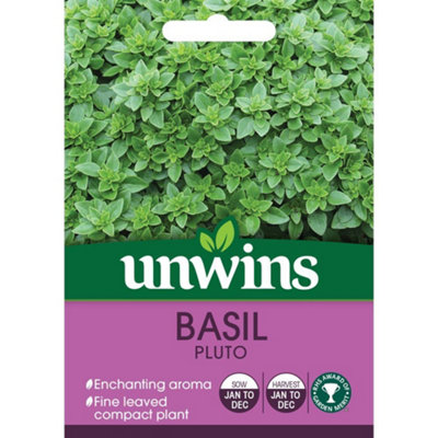 Unwins Herb Seeds Basil Pluto Seeds from B&Q