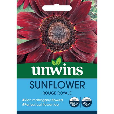 Unwins Unwin Flower Seeds Sunflower Rouge Royale from B&Q