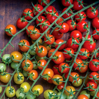 Marshalls Garden Cherry Baby Tomato SeedsHigh-Yield Cherry TomatoesApprox. 20 Seeds from B&Q