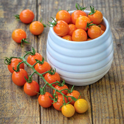 Marshalls Garden Sungold Cherry Tomato Seeds 'honeycomb' Pack Of 15 from B&Q