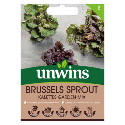 Unwins Brussels Sprout Kalettes Garden Mix from B&Q