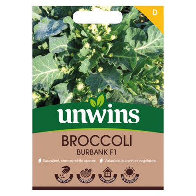 Unwins Broccoli Burbank F Easy To Grow Seeds from B&Q