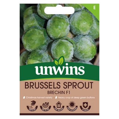 Unwins Brussels Sprout Brechin F Easy To Grow Seeds from B&Q