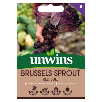 Unwins Brussels Sprout Red Bull Easy To Grow Seeds from B&Q