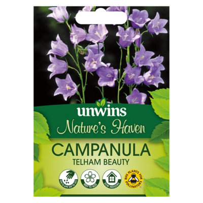 Unwins Nh Campanula Telham Beauty Easy To Grow Seeds from B&Q