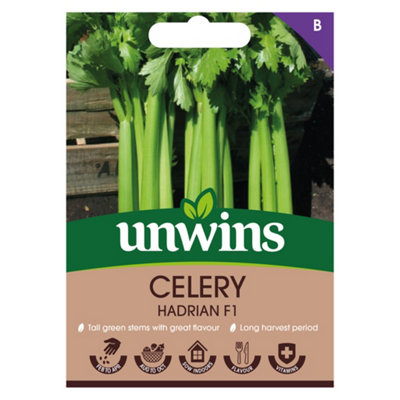 Unwins Celery Hadrian F Easy To Grow Seeds from B&Q