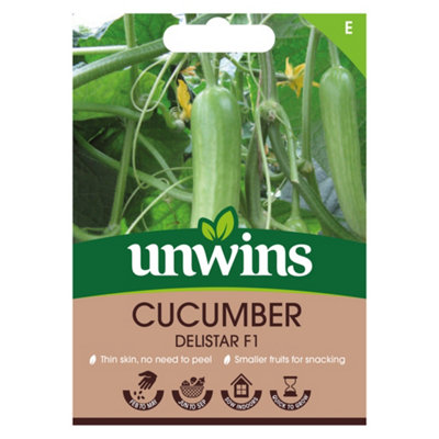 B&Q -  Cucumber Delistar F Easy To Grow Seeds