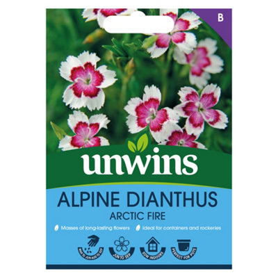 Unwins Alpine Dianthus Arctic Fire Easy To Grow Seeds from B&Q