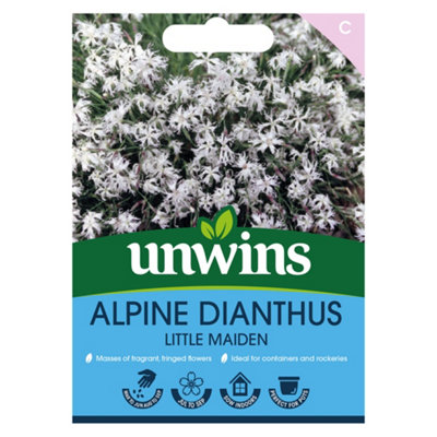 Unwins Alpine Dianthus Little Maiden Easy To Grow Seeds from B&Q