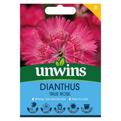 Unwins Dianthus True Rose Easy To Grow Seeds from B&Q
