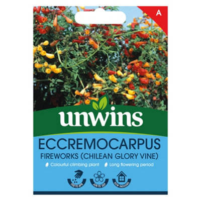 Unwins Eccremocarpus Easy To Grow Seeds from B&Q