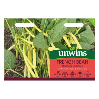 Unwins French Bean Dwarf Voltage Easy To Grow Seeds from B&Q
