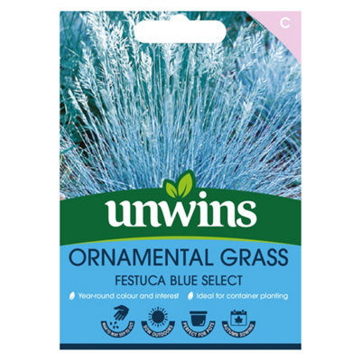 Unwins Ornamental Grass Festuca Blue Select from B&Q