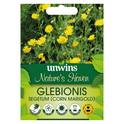 Unwins Nh Corn Marigold Easy To Grow Seeds from B&Q