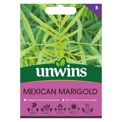 Unwins Herb Mexican Marigold Easy To Grow Seeds from B&Q