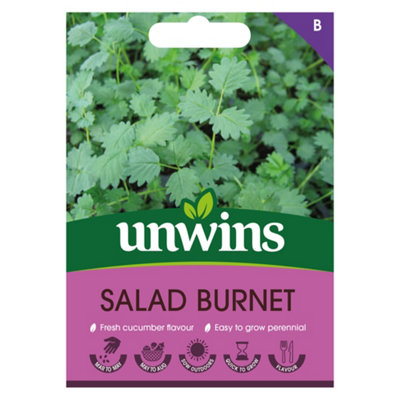Unwins Herb Salad Burnet Easy To Grow Seeds from B&Q