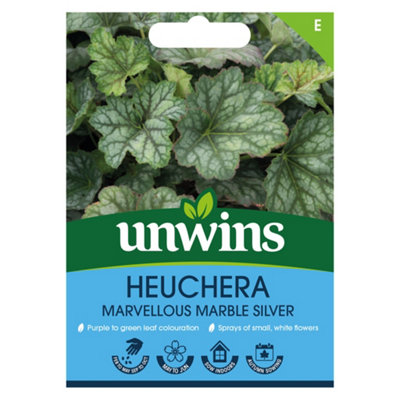 Unwins Heuchera Marvellous Marble Easy To Grow Seeds from B&Q