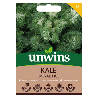Unwins Kale Emerald Ice Easy To Grow Seeds from B&Q
