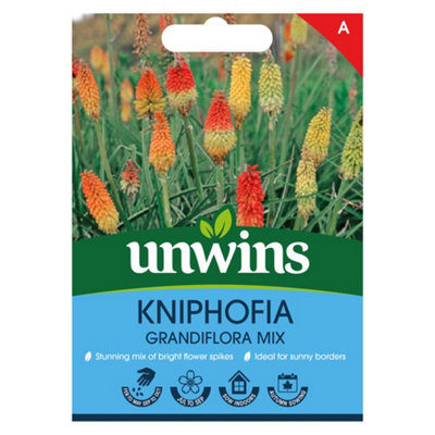 B&Q -  Kniphofia Grandiflora Mix Easy To Grow Seeds