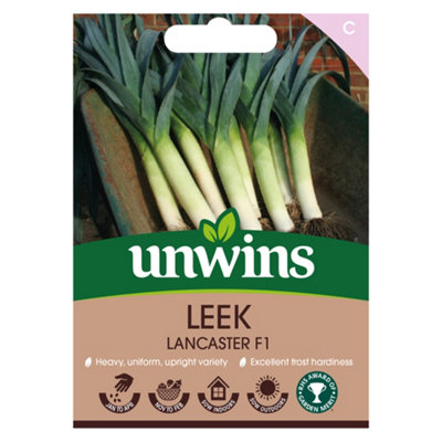Unwins Leek Lancaster F Easy To Grow Seeds from B&Q