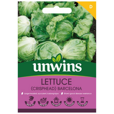 Unwins Lettuce Iceberg Barcelona Easy To Grow Seeds from B&Q