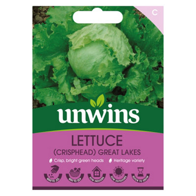 Unwins Lettuce Iceberg Great Lakes Easy To Grow Seeds from B&Q
