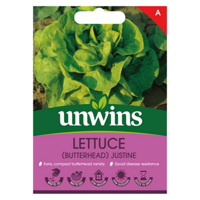 Unwins Lettuce Butterhead Justine Easy To Grow Seeds from B&Q