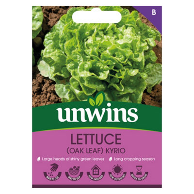 Unwins Lettuce Oak Leaf Kyrio Easy To Grow Seeds from B&Q