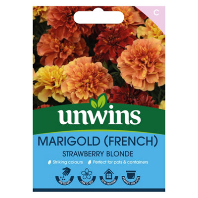 Unwins Marigold (French) Strawberry Blonde from B&Q