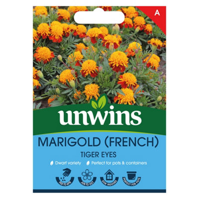 Unwins Marigold French Tiger Eyes Easy To Grow Seeds from B&Q
