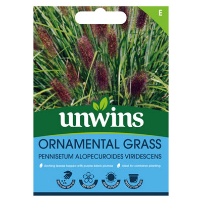 Unwins Ornamental Grass Pennisetum Alopecuroides from B&Q