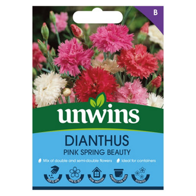 Unwins Dianthus Pink Spring Beauty Easy To Grow Seeds from B&Q