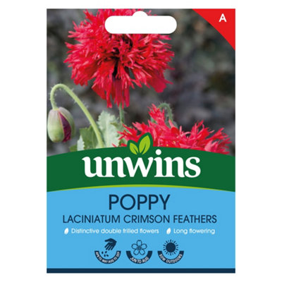 Unwins Poppy Crimson Feathers Easy To Grow Seeds from B&Q