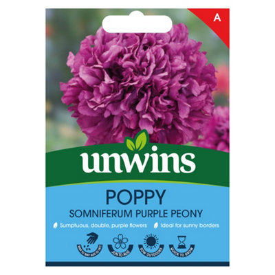 Unwins Poppy Purple Peony Easy To Grow Seeds from B&Q