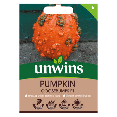 Unwins Pumpkin Goosebumps F Easy To Grow Seeds from B&Q