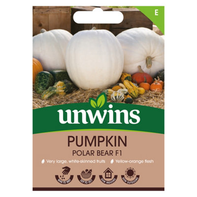 Unwins Pumpkin Polar Bear F Easy To Grow Seeds from B&Q
